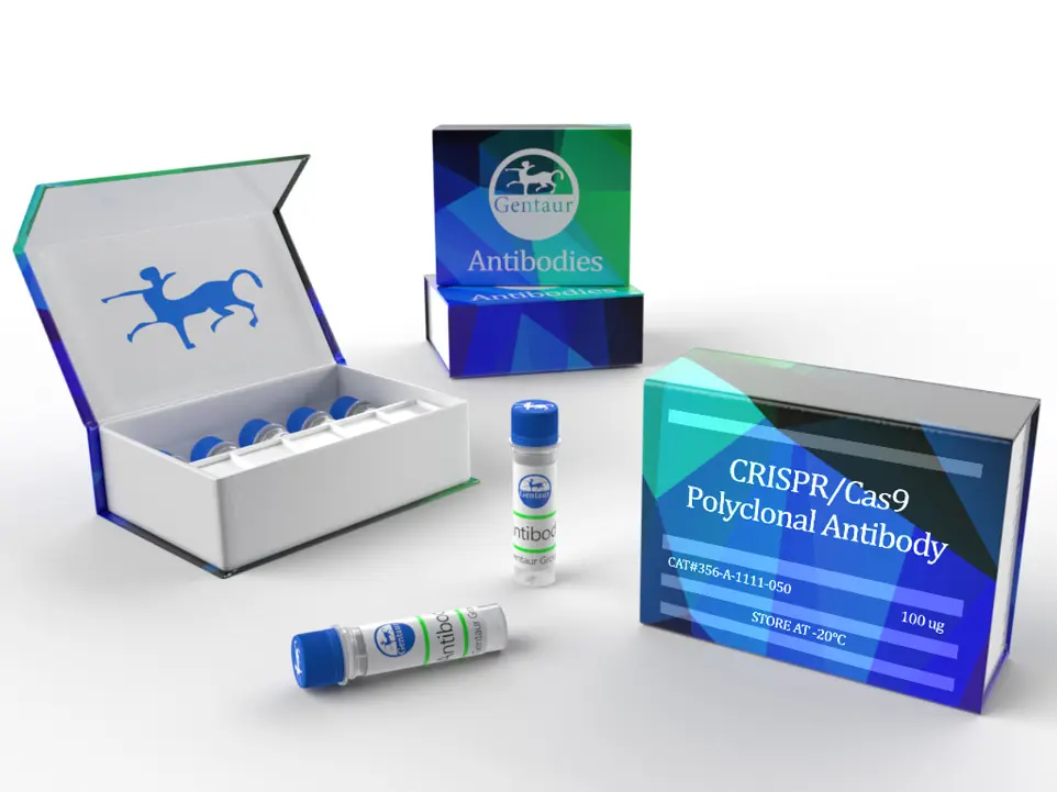 POLYCLONAL ab gentaur crispr cas9 CRISPR/CAS9 POLY